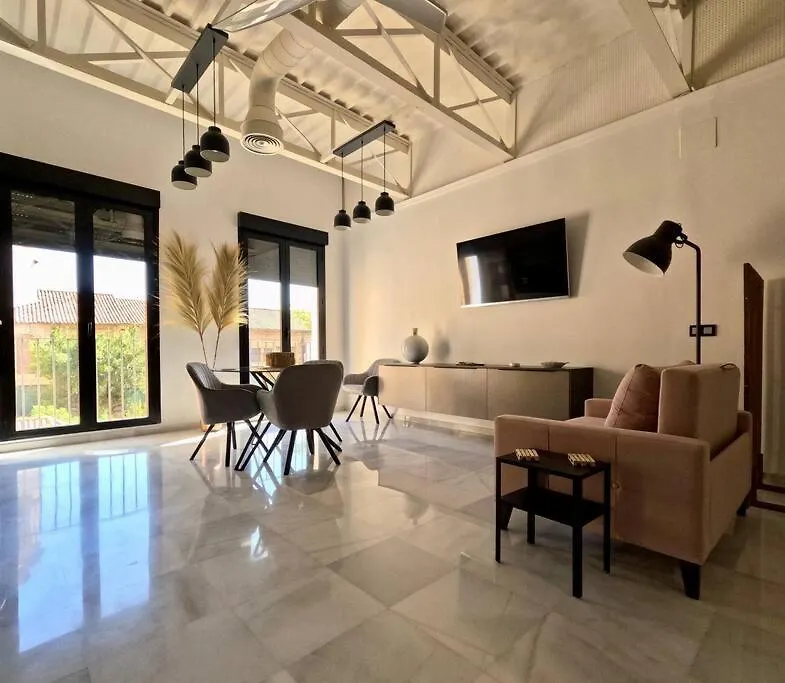 Loft Puerta De Capitulares Apartment Cordoba Spain