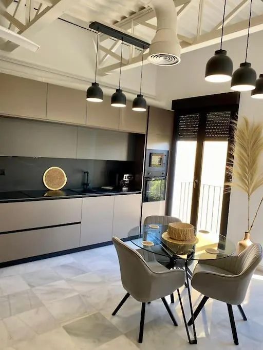 Loft Puerta De Capitulares Apartment Cordoba