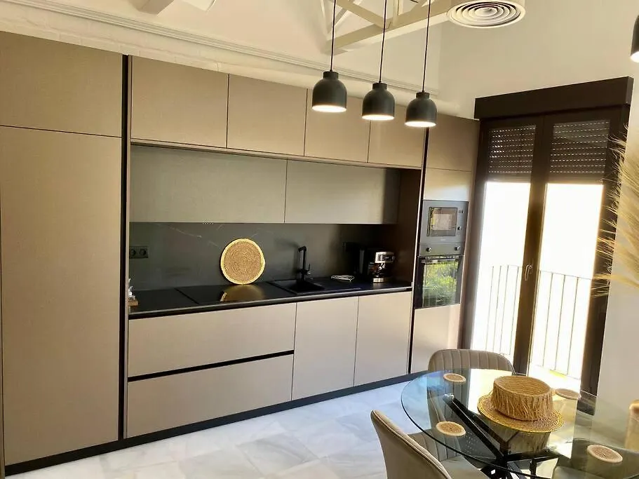 Loft Puerta De Capitulares Apartment Cordoba Spain