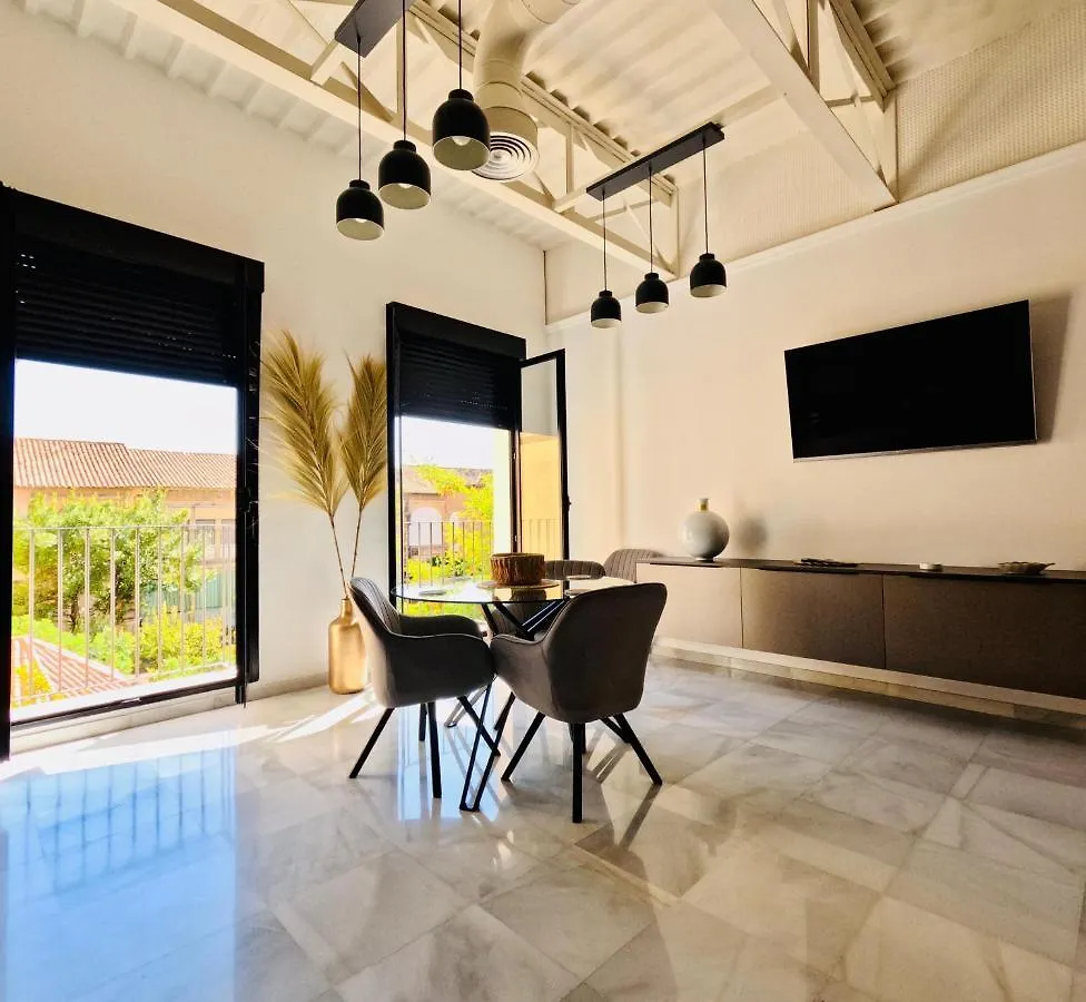 Loft Puerta De Capitulares Apartment Cordoba 0*,